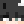 4_SWFS