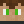 A_bush_