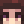 AliceTheWolf24