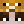 Animals_ciao_