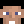 BaldEagle_