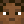 Breezely_Bear