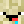 BridgerNoob
