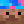 Cidly