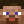 FazeCiruzzo