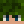 Faze_Creeper