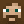 Fiji_Wader