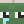 FluffyGeoducke