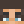 Fox_Gamer_28