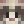 Furetto__
