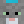GrayTabby