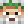 IAm_Steve_