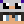 IP_Steven