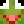 Jackobello