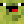 JalenJr