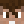 KidWithParklnson