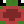 LIL_POLLO