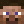 Leo_goat