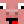 Lollato
