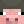 Lollo_Drippato
