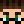 Lorenzo_magnific