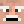 MISTER_CAVA