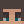 MISTIC_FROG