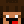 MiniDucee
