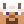 Moon_5679
