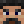 MrTex