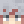 NATHAN_PRO