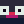 Network_special