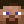 Nowamy