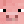 PIG_3012