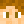 Poico