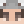 Ratto7104