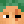 Ror3R_Pro
