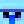 Spider_Carl