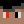 TeddaWasNoob
