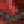 Temm_Masscret