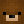TeoBear