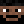 TheDumbDoge_REAL