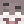 Toxiic_Sharkzzz