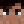 VisualFungus41