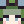Vit_t6