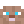 WinterTheMan