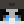 Zane_TTV