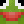 _Wollo_