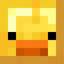 ___sacchi_______'s avatar