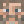 _yorick